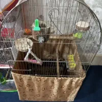 قفس کاسکویی فوری باتمام لوازم معاوضه با قناری دارم