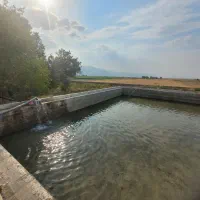 اجاره ۱۲ هکتار زمین کشاورزی در دهک دولت آباد(تیون)