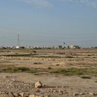 زمین کشاورزی