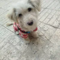 برا این که جا ندارم میخوام بفروشم