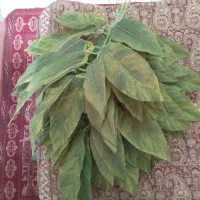 شاخه برگهای مصنوعی|گل مصنوعی|پردیس, فاز ۶|دیوار