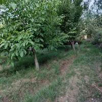 فروش باغ|فروش دفتر صنعتی، کشاورزی، تجاری|الشتر, |دیوار