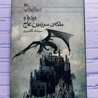 40 عدد کتاب رمان  جالب برای نوجوانان عمده