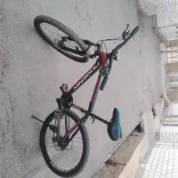 دو چرخه فونیکس