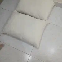 بالشت