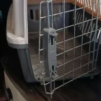 باکس حمل پت|لوازم جانبی حیوانات|کرج, حصار سرجوب|دیوار