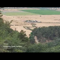 دامداری صنعتی