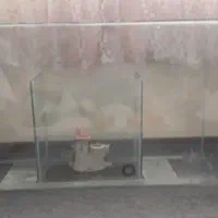 ۲عددآکواریوم‌ماهی‌|ماهی|بومهن, |دیوار