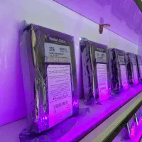 هارد ۲ ترابایت بنفش با ۱۶ ماه ضمانت