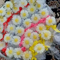 بابونه شعله طلایی|صنایع دستی و سایر لوازم تزئینی|قم, نیروگاه|دیوار