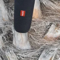 اسپیکر hainoteko