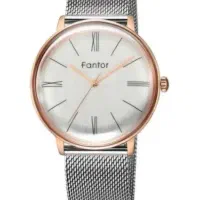 ساعت فانتور  WF100G04   Fantor|ساعت|تهران, علم و صنعت|دیوار
