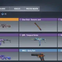 اکانت زیلات خام