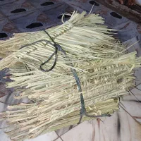 چارو دستی