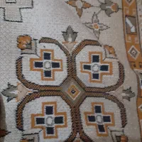 سگ پیداشده