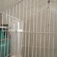 سهره خا.کی