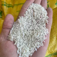 برنج مختار هاشمی|خوردنی و آشامیدنی|رضوانشهر, |دیوار