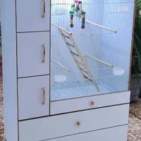 قفس برنده زیبا شکیل