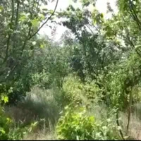 فروش باغ ویلا با آب فراوان منطقه سرد دستجرد|فروش زمین و ملک کلنگی|قم, آزادگان|دیوار