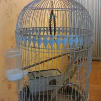 قفس پرنده جذاب