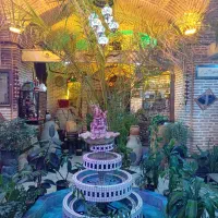 سالن دار و گارسون