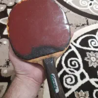راکت گرگولی