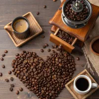 دان قهوه و انواع پودریجات