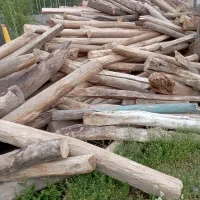 خرید چوب آلات کهنه|خدمات باغبانی و درختکاری|کوثر, |دیوار