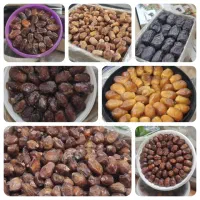 فروش ویژه خرما و رطب ارگانیک درجه یک رویال گاردن