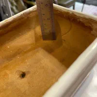 ۷ عدد گل زیبا و ۴ عدد گلدان بنسای|گل و گیاه طبیعی|تبریز, |دیوار