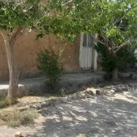 فروش باغ زرشک و عناب به همراه ۱۸ ساعت آب چاه