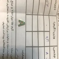 النگو و پلاک طلا|جواهرات|قزوین, |دیوار