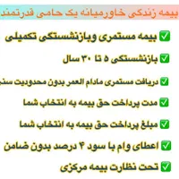 ثبت و صدور انواع بیمه نامه از تمامی شرکت‌ها|خدمات مالی، حسابداری، بیمه|صدرا-فارس, |دیوار