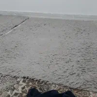 فرش ماگارونی|فرش|فردیس, شهرک هفده شهریور|دیوار