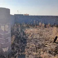 فروش زمین کشاورزی