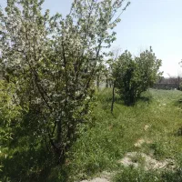 زمین-400متر-اسفنداباد