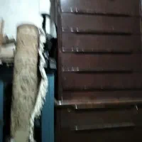 دوعدد دراور سالم درحد نو