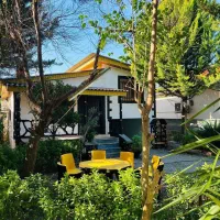 ویلا-باغ-نیم-پیلوت-چسبیده-جنگل-باغ-مرکبات-میوه