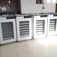 دستگاه جوجه کشی. ظرفیـت خـونگـی و صنعـتی00bh0