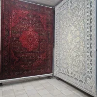 انواع فرش مشهد و کاشان|فرش|قزوین, |دیوار