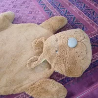 تشک  کودک