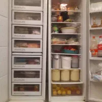 یخچال و یخچال فریزر بدون برفک سینجر