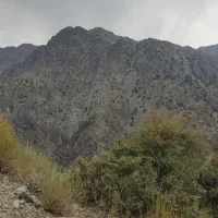 ویلا-دلفارد