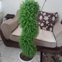 گل مصنوعی