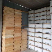 فروش کندو طبق مصنوعات چوبی|عمده‌فروشی|رامسر, |دیوار