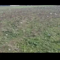 زمین-مسکونی-یولاف