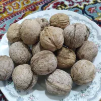 گردو|خوردنی و آشامیدنی|خرمآباد, |دیوار