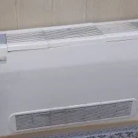 فن کوئل
