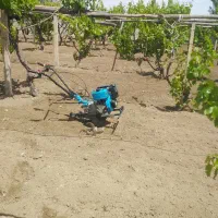 شخمزنی|خدمات باغبانی و درختکاری|ارومیه, |دیوار