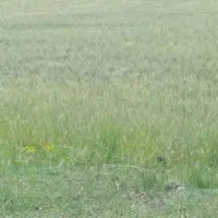 زمین جاده مغان